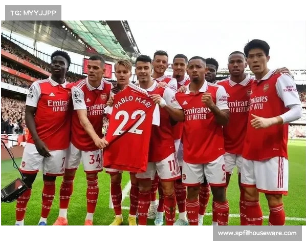 揭秘阿森纳辉煌历程全面了解英超豪门荣耀与成就